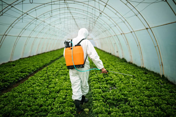 Pest Control for Restaurants in Santa Claus, IN