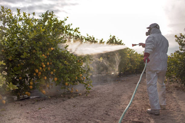 Best Pest Control for Restaurants  in Santa Claus, IN