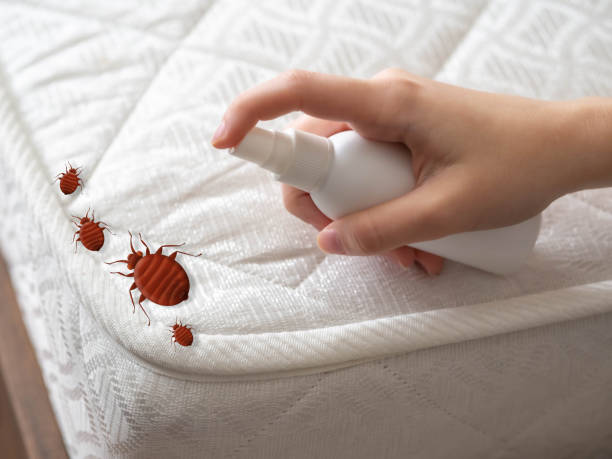 Best Pest Control for Businesses  in Santa Claus, IN